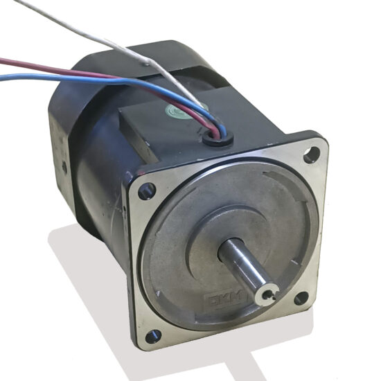 DKM 9IDK2-60F 60W 220V 1600Rpm Induction Motor DM164